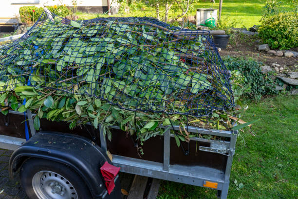 Best Carpet Removal and Disposal  in Topton, PA